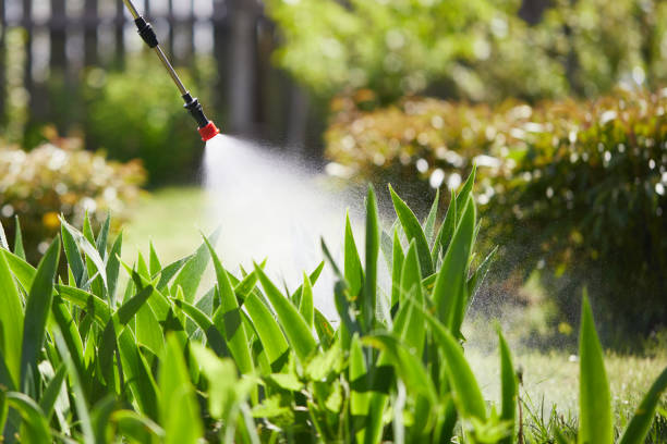 24/7 Emergency Mosquito Control experts in Mooresville, IN